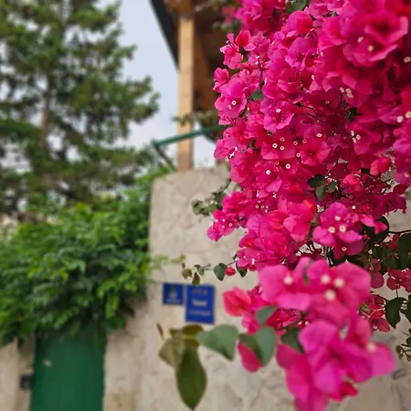 Franicevic Apartment *