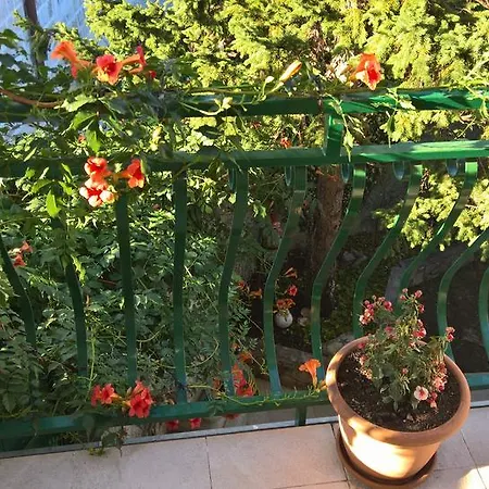 Apartment Franicevic