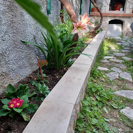 Franicevic Apartamento *